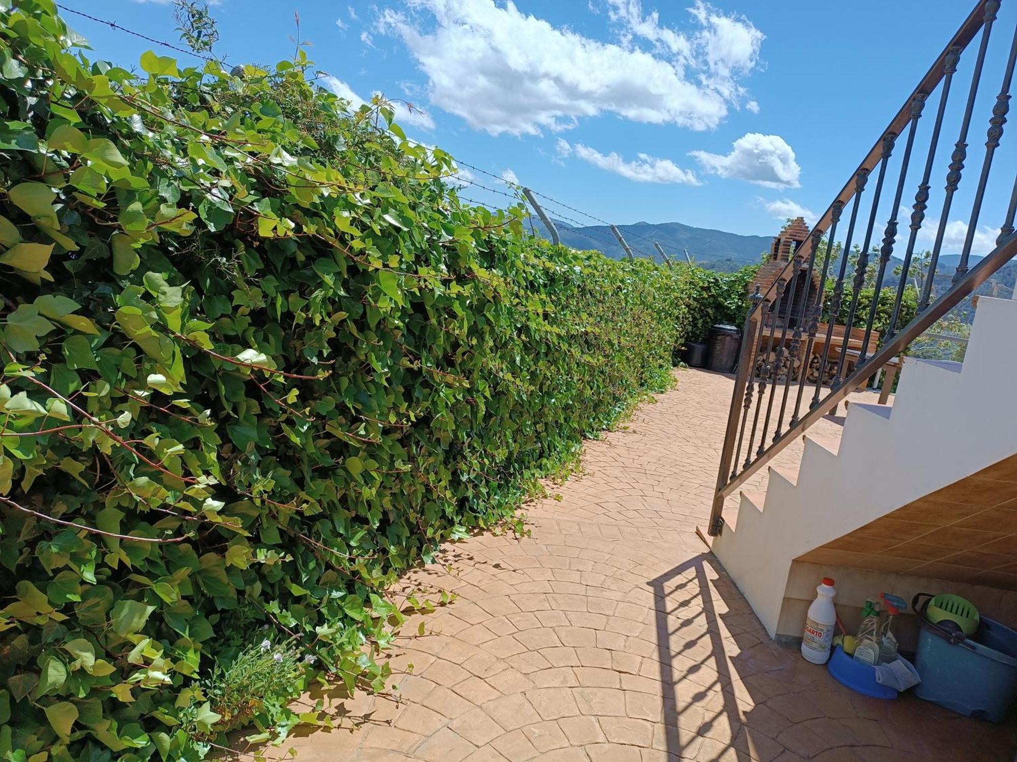Casa Rural La Revuelta Con Las Mejores Vistas A La Naturaleza Yunquera Esterno foto