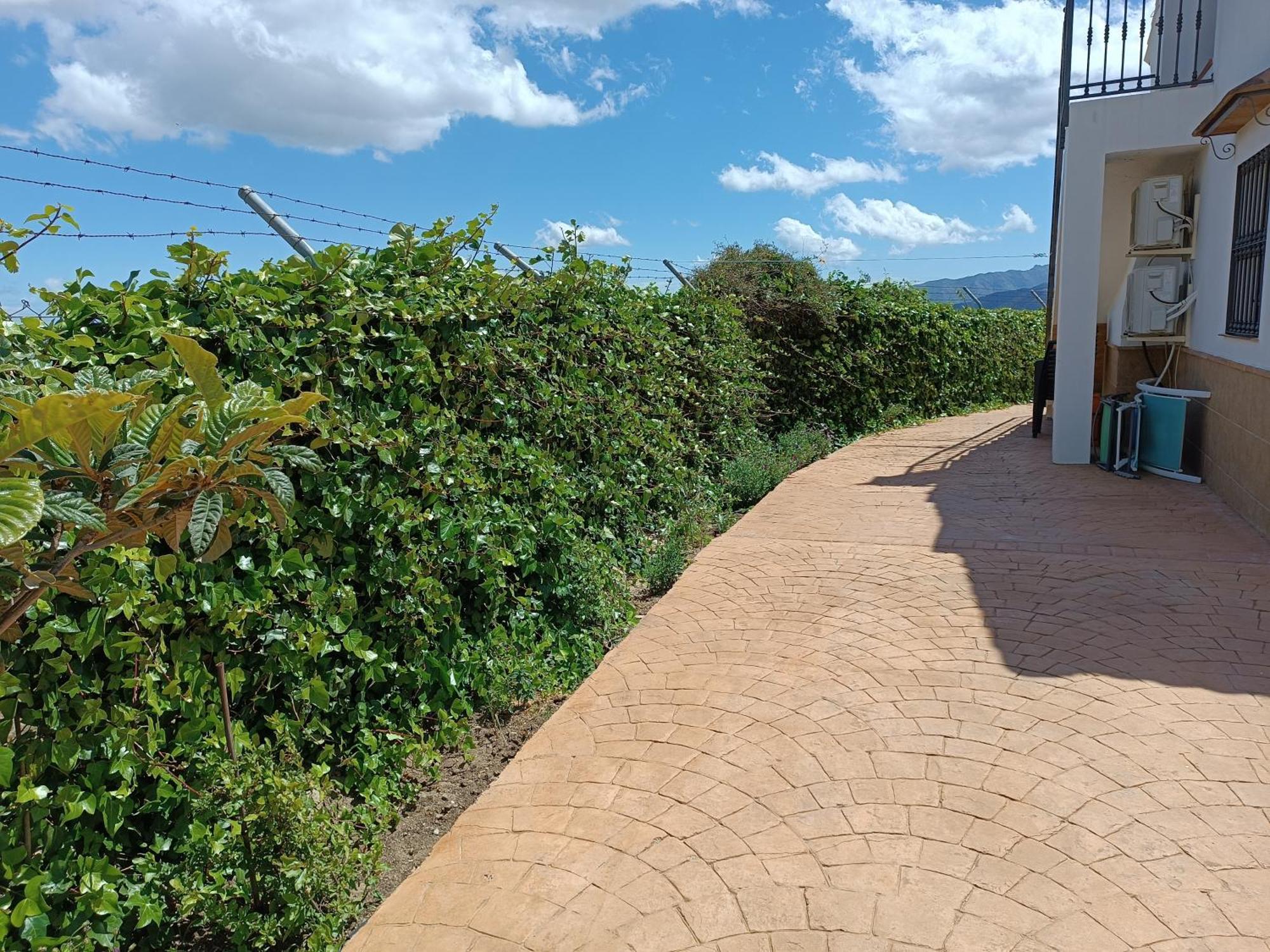 Casa Rural La Revuelta Con Las Mejores Vistas A La Naturaleza Yunquera Esterno foto